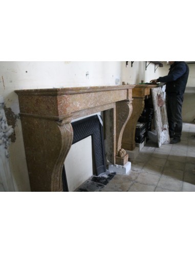 535 PATINATISSIMO CAMINO "GRIFFE DE LION" IN...