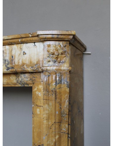 254 "DEUX FLEURS ARRONDI" IN MARMO GIALLO SIENA...