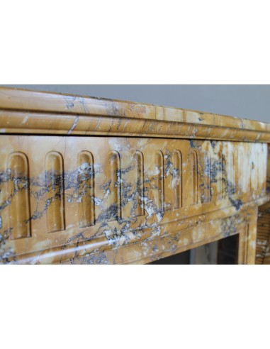 254 "DEUX FLEURS ARRONDI" IN MARMO GIALLO SIENA...