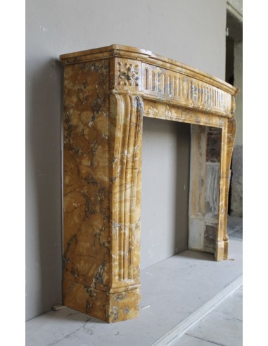 254 "DEUX FLEURS ARRONDI" IN MARMO GIALLO SIENA...