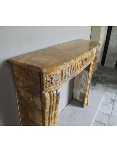 254 "DEUX FLEURS ARRONDI" IN MARMO GIALLO SIENA...