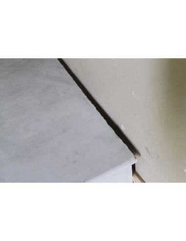 003 OCC CAMINO LUIGI FILIPPO "PALMETTES"...