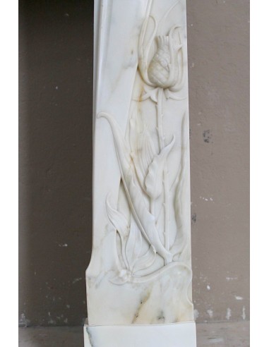 607 AG CAMINO LIBERTY "FLEUR DE CHARDON" IN...