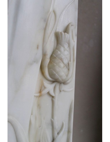 607 AG CAMINO LIBERTY "FLEUR DE CHARDON" IN...