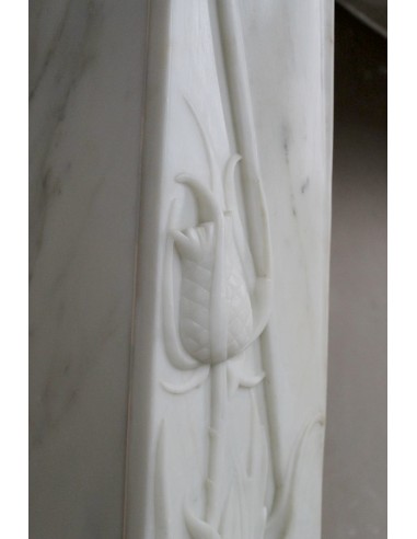 607 AG CAMINO LIBERTY "FLEUR DE CHARDON" IN...