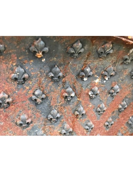 CG 090 RARO ED ANCHE FISICAMENTE IMPORTANTE CONTROCUORE "FLEUR DE LIS"