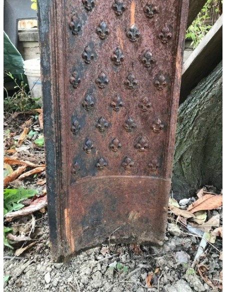 CG 090 RARO ED ANCHE FISICAMENTE IMPORTANTE CONTROCUORE "FLEUR DE LIS"