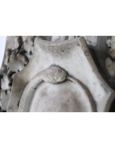 007 Coppia Stemmi, Lucca, Vipere che si mordono...