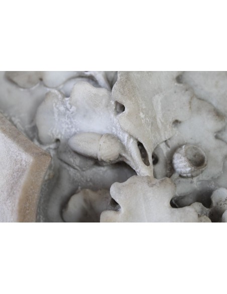 007 Coppia Stemmi, Lucca, Vipere che si mordono la coda.