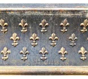 CG 052 CONTROCUORE CAMINETTO LUIGI XVI "FLEUR DE LIS" 2