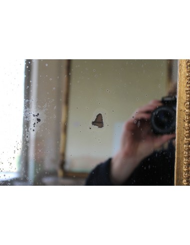 261 SPECCHIERA LUIGI XV IN FOGLIA D'ORO DI...