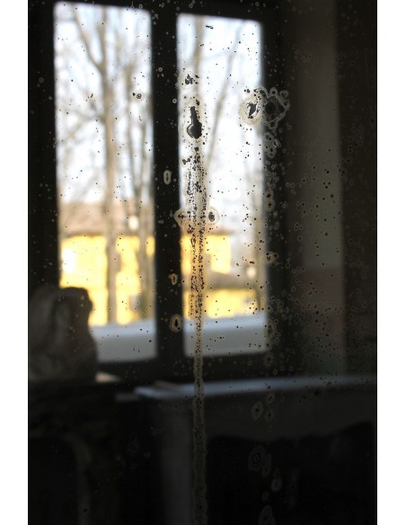 261 SPECCHIERA LUIGI XV IN FOGLIA D'ORO DI PICCOLE DIMENSIONI