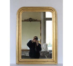 002 SPECCHIERA LUIGI FILIPPO DI PICCOLA TAGLIA IN FOGLIA...