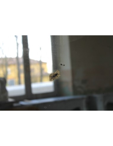 015 SPECCHIERA ANTICA IN FOGLIA D'ORO CON...