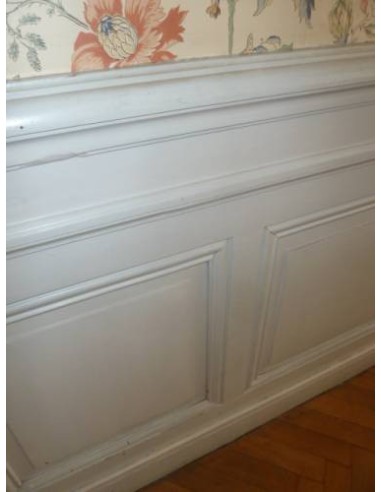 002 BOISERIE NEOCLASSICA DI TIPO "PARISIENNE"