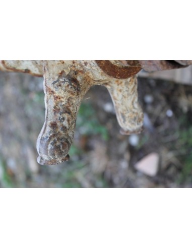 RADIATORI FLOREALI D'EPOCA