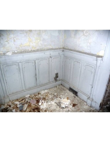 011 BOISERIE "PARISIENNE" D'EPOCA ART NOUVEAU