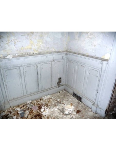 011 BOISERIE "PARISIENNE" D'EPOCA ART NOUVEAU