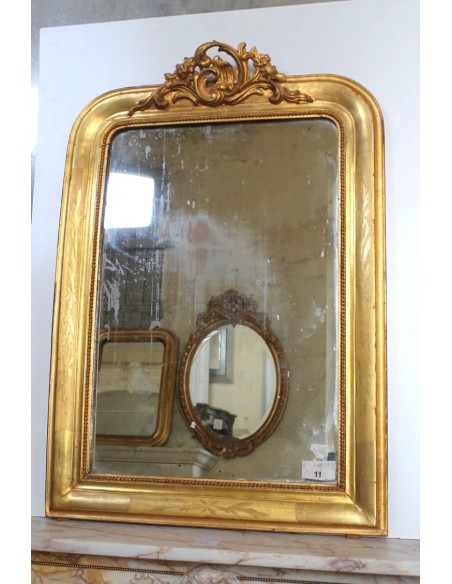 108P SPECCHIERA LUIGI FILIPPO CON CIMASA ROCAILLE