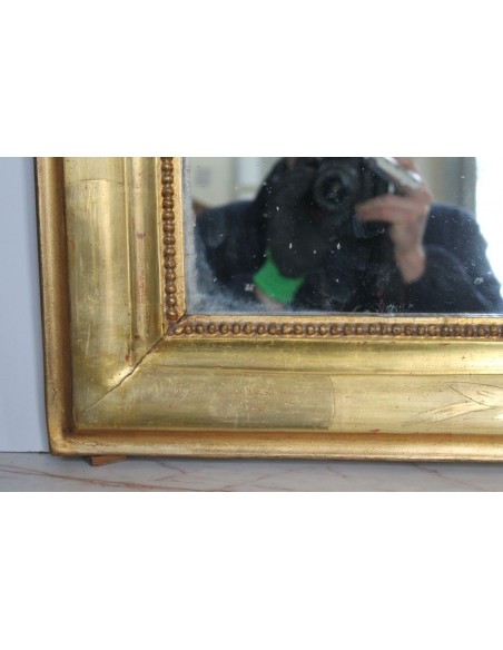 108P SPECCHIERA LUIGI FILIPPO CON CIMASA ROCAILLE